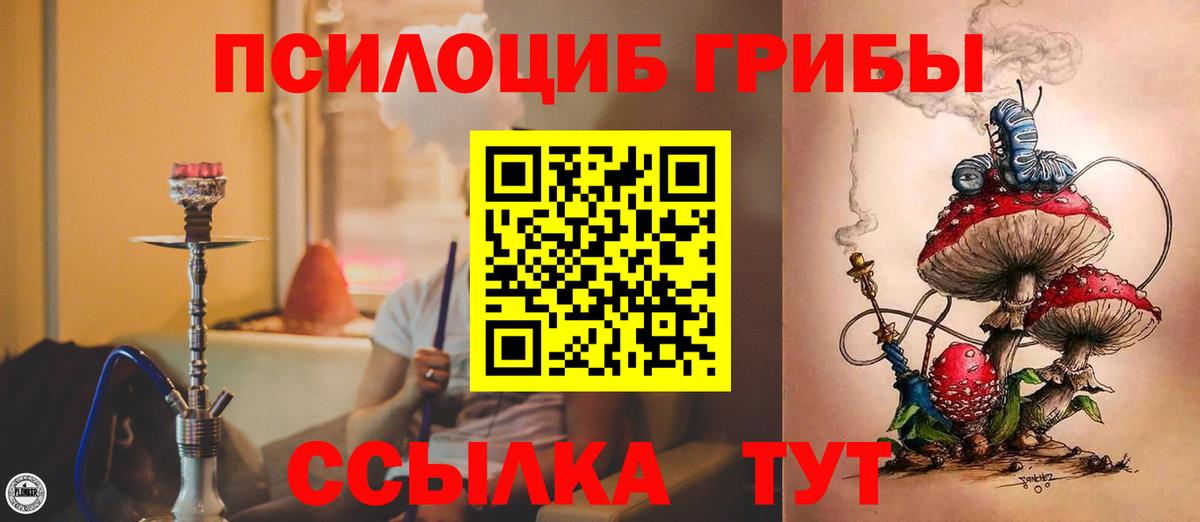 Галлюциногенные грибы мицелий  Вход с VPN  купить наркоту  Красный Сулин 